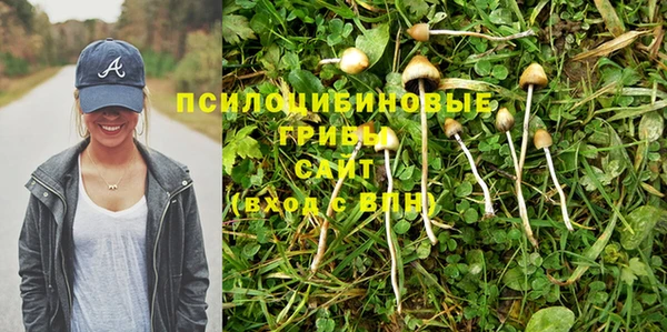 кокаин колумбия Новозыбков