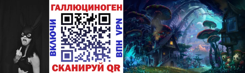 kraken ССЫЛКА  Темрюк  Псилоцибиновые грибы Psilocybe 